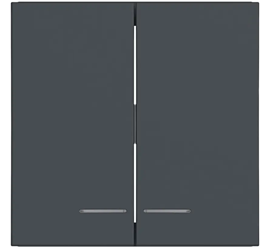 Wippe 2-fach Kontrollfenster A1/A8/C1/C8 anthrazit matt (WAW2031AT)