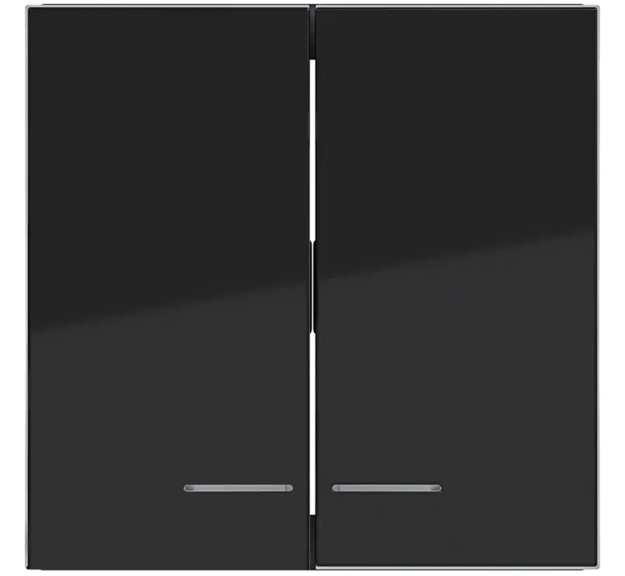 Wippe 2-fach Kontrollfenster A1/A8/C1/C8 nachtschwarz glänzend (WAW2031BG)