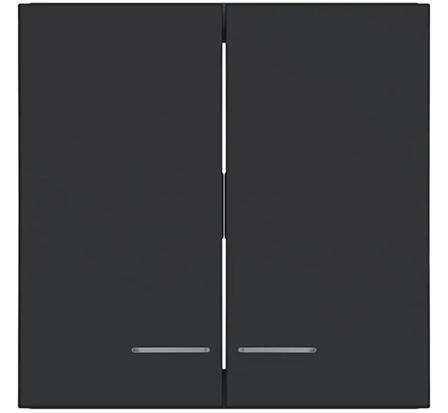 Wippe 2-fach Kontrollfenster A1/A8/C1/C8 nachtschwarz matt (WAW2031BM)