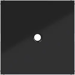 Hager Berker Zentralplatte Zugschalter A1/A8/C1/C8 nachtschwarz glänzend (WAF1048BG)