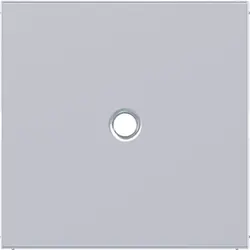 Hager Berker Zentralplatte Zugschalter A1/A8/C1/C8 titan (WAF1048TA)