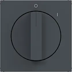 Hager Berker Drehknopf für Ein/Aus-Drehschalter mit Aufdruck 0-1 A1/A8/C1/C8 anthrazit matt (WAF1318AT)