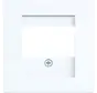 Zentralplatte USB / Lautsprecher A1/A8/C1/C8 lichtweiß glänzend (WAF1104WG)