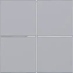 Hager Berker Taste für 2-fach Bedienelement A1/A8/C1/C8 titan (WAN7020TA)
