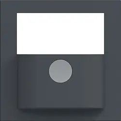 Hager Berker Abdeckung mit Knopf für Bewegungsmelder-Bedienelement A1/A8/C1/C8 anthrazit matt (WAN7040AT)