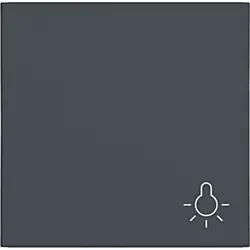 Hager Berker Wippe mit symbol Licht A1/A8/C1/C8 anthrazit matt (WAW1012AT)