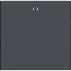 Hager Berker Wippe mit Aufdruck 0 A1/A8/C1/C8 anthrazit matt (WAW1014AT)