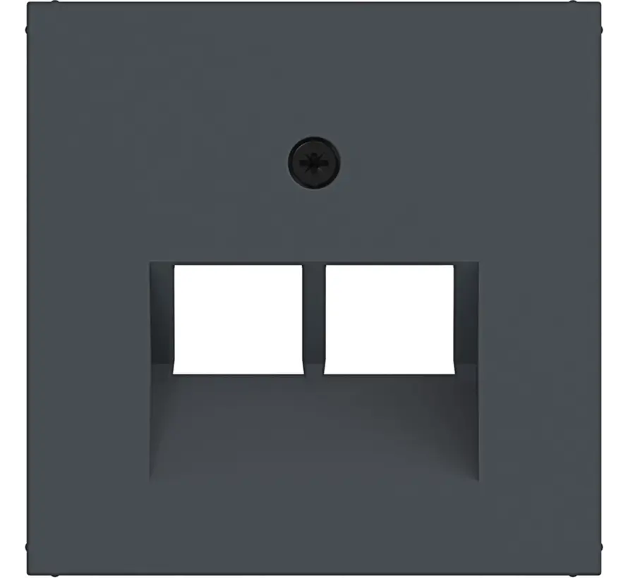 Zentralplatte RJ45 Netzwerk-Anschlussdose 2-fach A1/A8/C1/C8 anthrazit matt (WAF1108AT)
