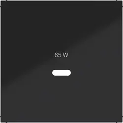 Hager Berker Zentralplatte für USB-Lader Typ C A1/A8/C1/C8 nachtschwarz glänzend (WAF1511BG)