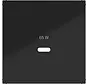 Zentralplatte für USB-Lader Typ C A1/A8/C1/C8 nachtschwarz glänzend (WAF1511BG)