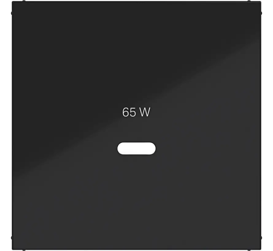 Zentralplatte für USB-Lader Typ C A1/A8/C1/C8 nachtschwarz glänzend (WAF1511BG)