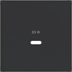 Hager Berker Zentralplatte für USB-Ladegerät Typ C A1/A8/C1/C8 nachtschwarz matt (WAF1511BM)