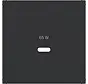 Zentralplatte für USB-Ladegerät Typ C A1/A8/C1/C8 nachtschwarz matt (WAF1511BM)