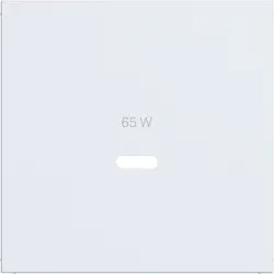 Hager Berker Zentralplatte für USB-Lader Typ C A1/A8/C1/C8 lichtweiß matt (WAF1511WM)