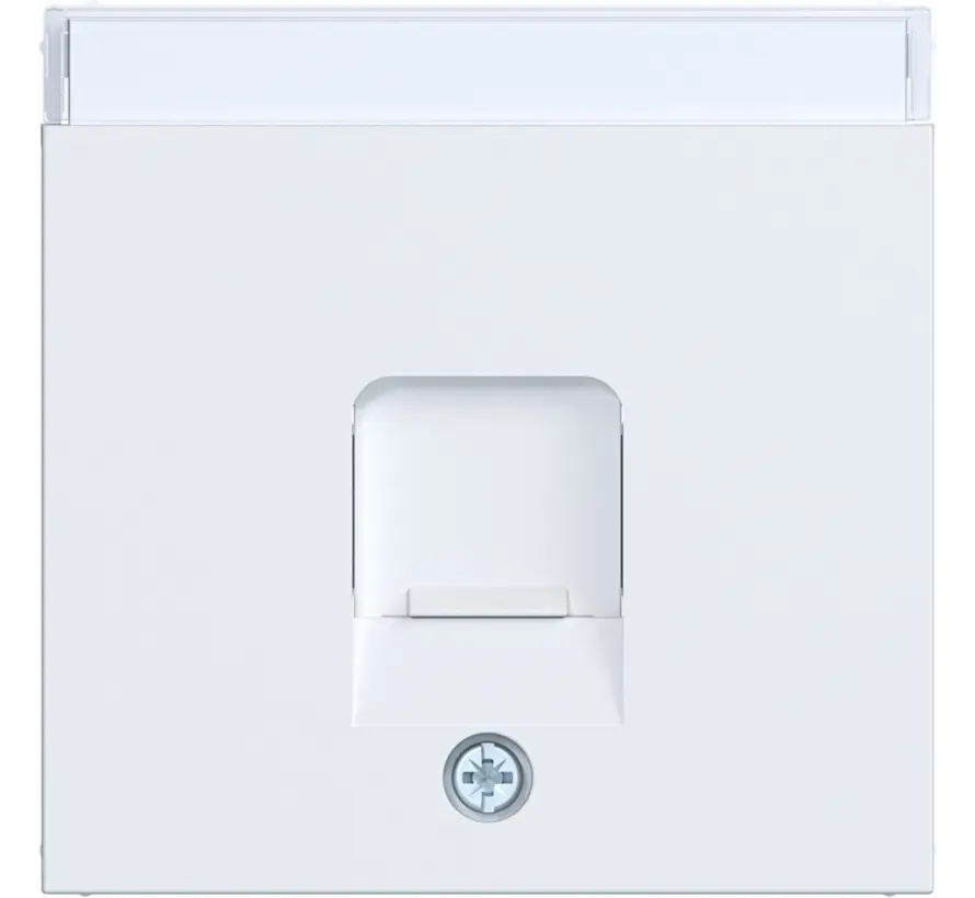 Zentralplatte für Tragring modular Jack 1-fach A1/A8/C1/C8 lichtweiß matt (WAF1160WM)