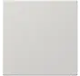 Zentralplatte Blindabdeckung mit Tragplatte LS990 hellgrau (LS 994 B LG)