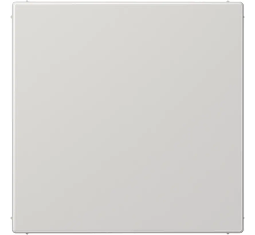 Zentralplatte Blindabdeckung mit Tragplatte LS990 hellgrau (LS 994 B LG)
