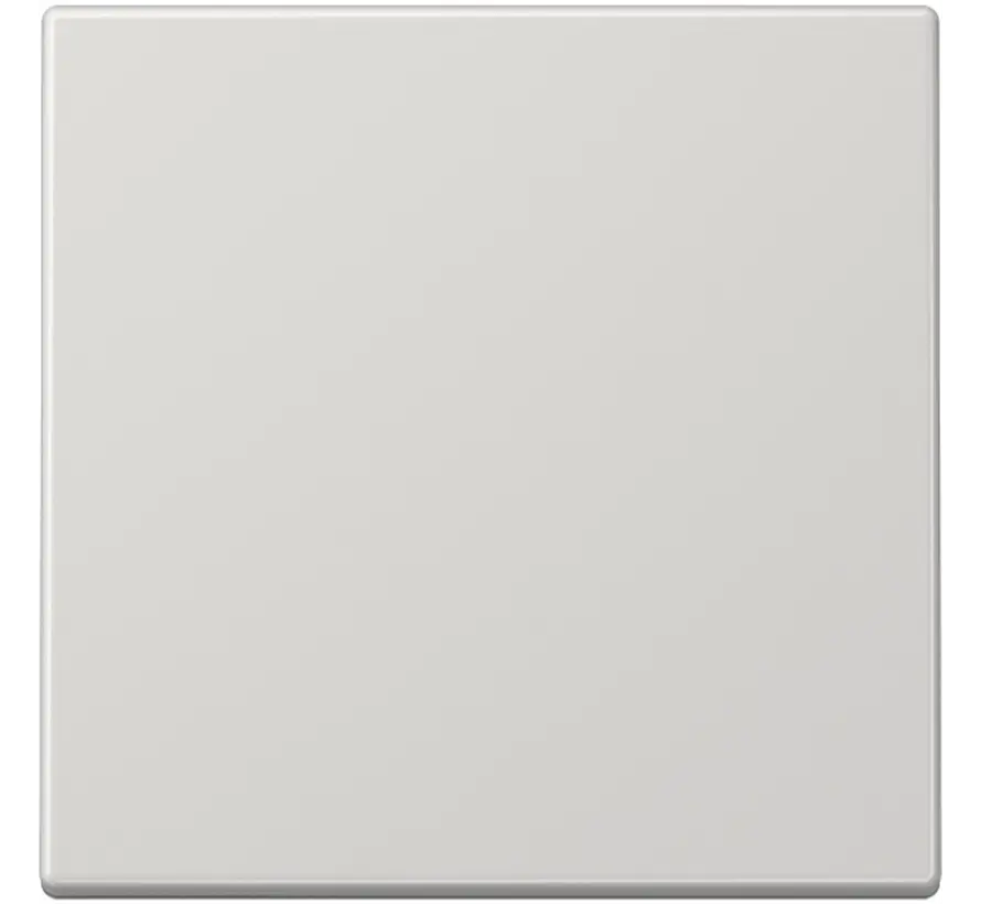 Wippe 1-fach LS990 hellgrau (LS 990 LG)