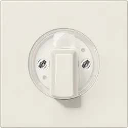 JUNG Drehbedienaufsatz für Jalousie oder Drehschalter LS990 creme (LS 1941)