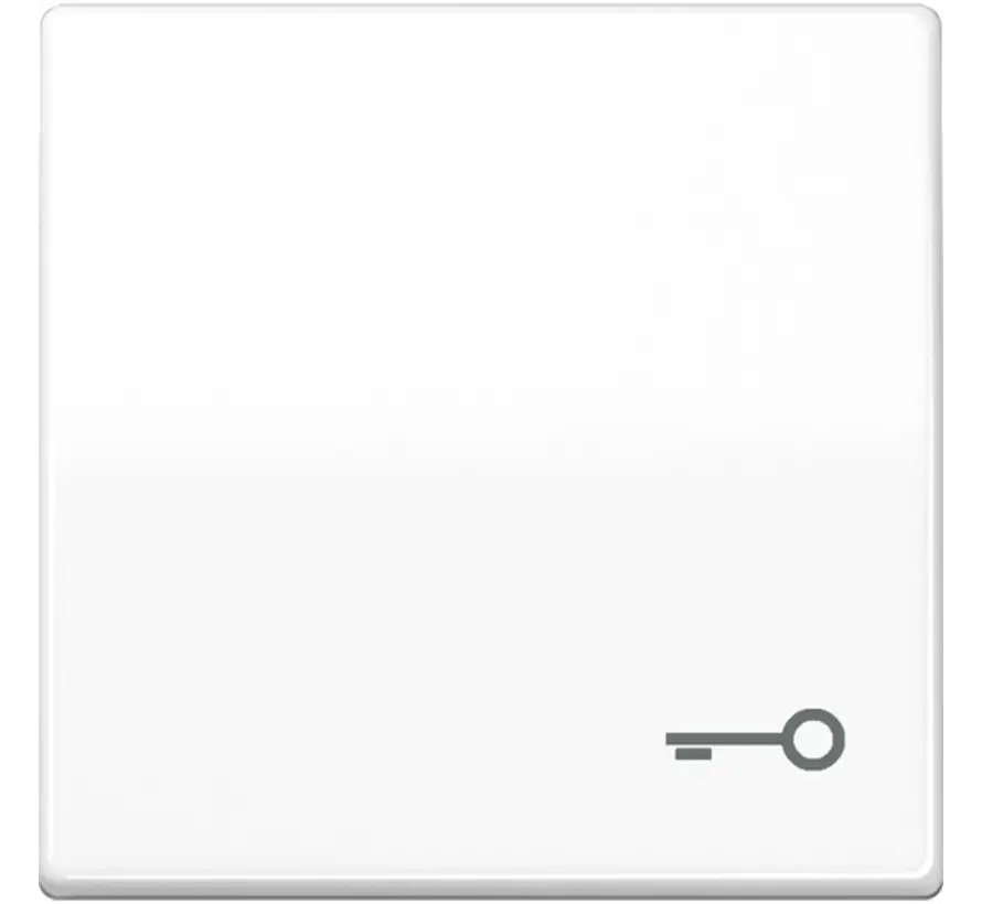 Wippe symbol Schlüssel AS500 alpinweiß (AS 591 T WW)