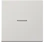 Wippe Kontrollfenster LS990 hellgrau (LS 990 KO5 LG)