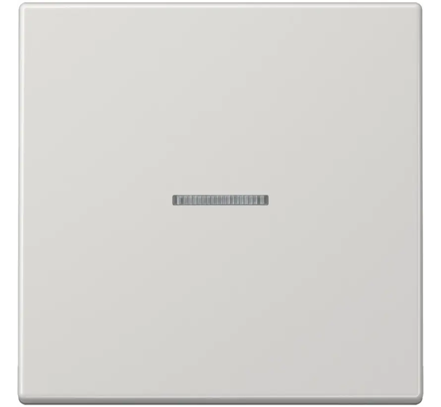 Wippe Kontrollfenster LS990 hellgrau (LS 990 KO5 LG)