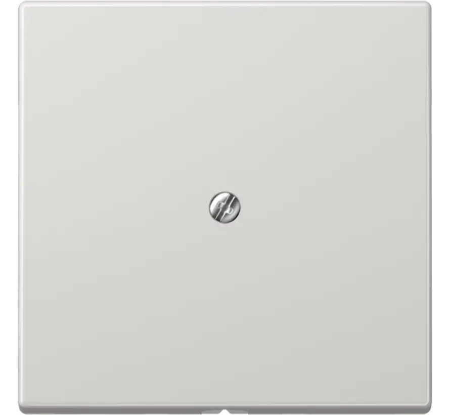 Zentralplatte Leitungsauslass mit Tragring LS990 hellgrau (LS 990 A LG)