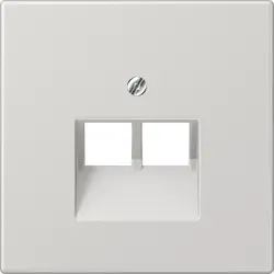 JUNG Zentralplatte 2-fach für RJ45 Netzwerk-Anschlussdose LS990 hellgrau (LS 969-2 UA LG)