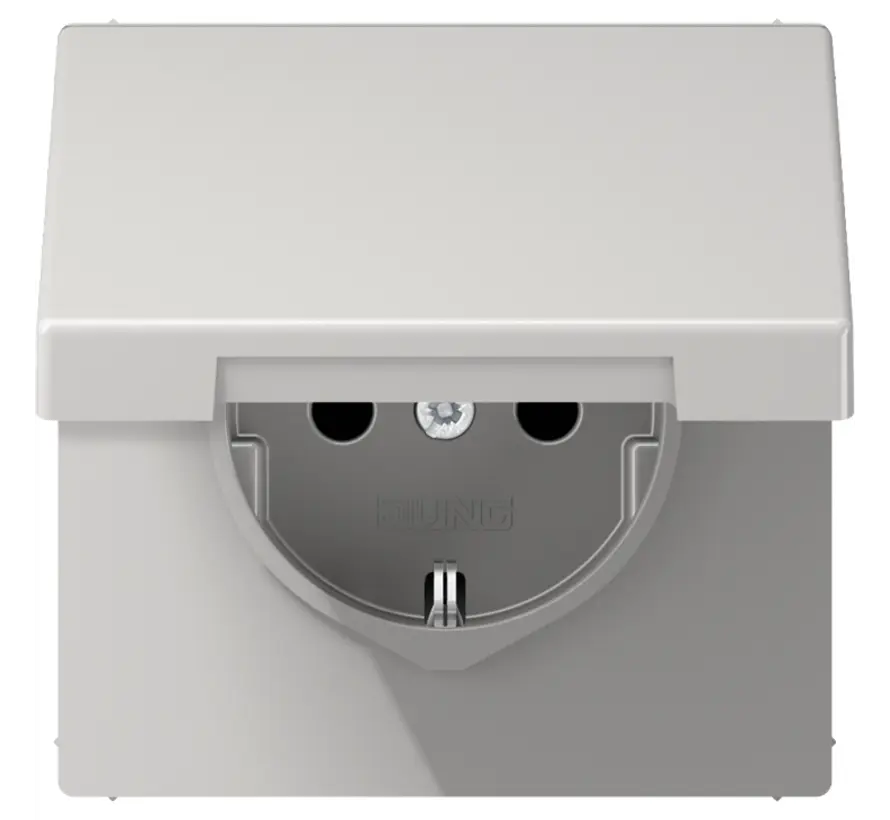 Schuko-Steckdose Klappdeckel LS990 hellgrau (LS 1520 NKL LG)