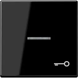 JUNG Wippe symbol Schlüssel Kontrollfenster A-range schwarz glänzend (A 590 KO5 T SW)