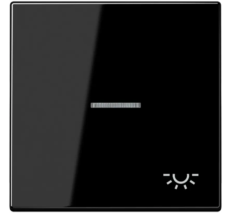 Wippe symbol Licht Kontrollfenster LS990 schwarz glänzend (LS 990 KO5 L SW)