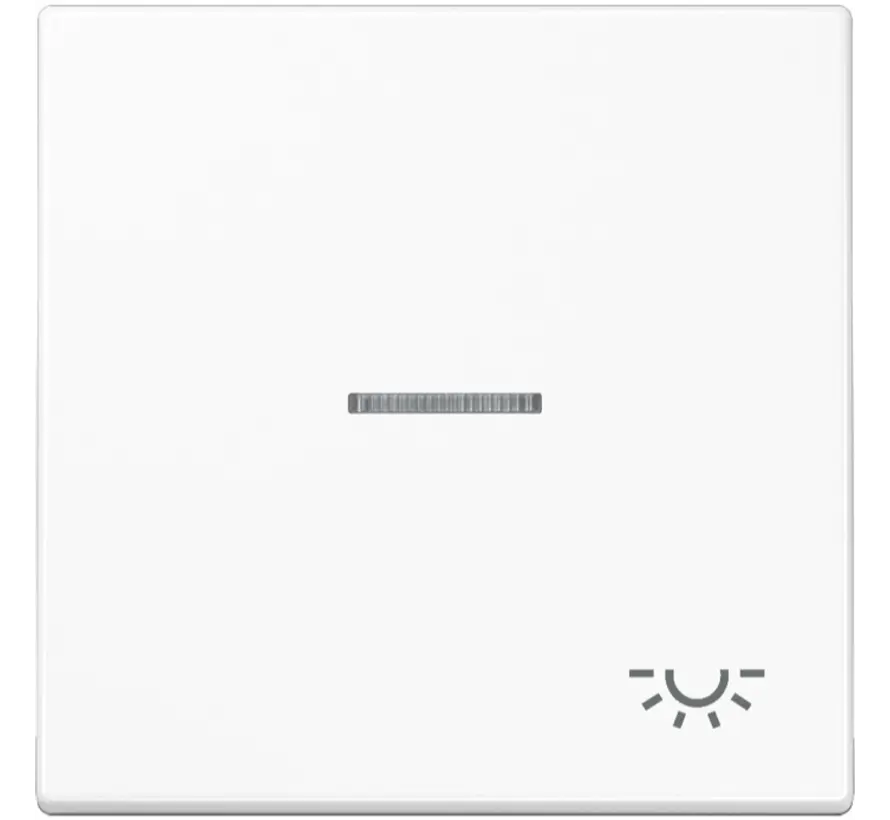 Wippe symbol Licht Kontrollfenster LS990 alpinweiß (LS 990 KO5 L WW)