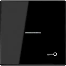 JUNG Wippe symbol Schlüssel Kontrollfenster LS990 schwarz glänzend (LS 990 KO5 T SW)
