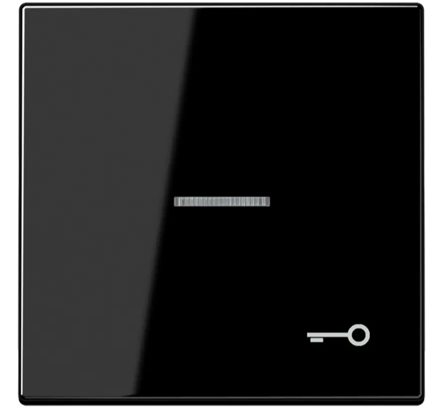 Wippe symbol Schlüssel Kontrollfenster LS990 schwarz glänzend (LS 990 KO5 T SW)