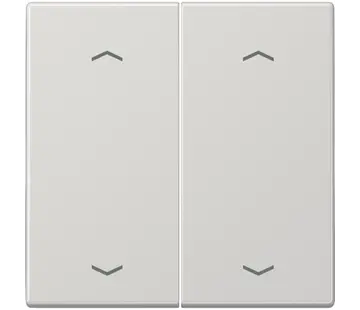 JUNG Wippe 2-fach mit pfeilsymbole LS990 hellgrau (LS 995 MP LG)