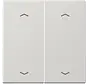 Wippe 2-fach mit pfeilsymbole LS990 hellgrau (LS 995 MP LG)