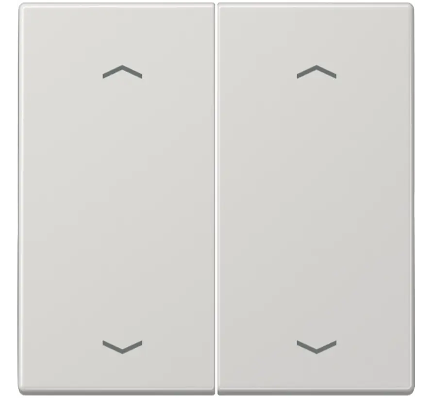 Wippe 2-fach mit pfeilsymbole LS990 hellgrau (LS 995 MP LG)