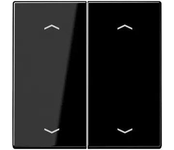 JUNG Wippe 2-fach mit pfeilsymbole LS990 schwarz glänzend (LS 995 MP SW)