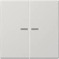 JUNG Wippe 2-fach Kontrollfenster LS990 hellgrau (LS 995 KO5 LG)