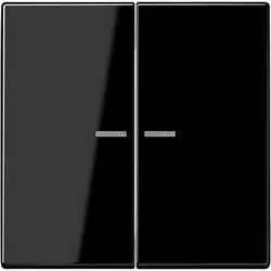 JUNG Wippe 2-fach Kontrollfenster LS990 schwarz glänzend (LS 995 KO5 SW)