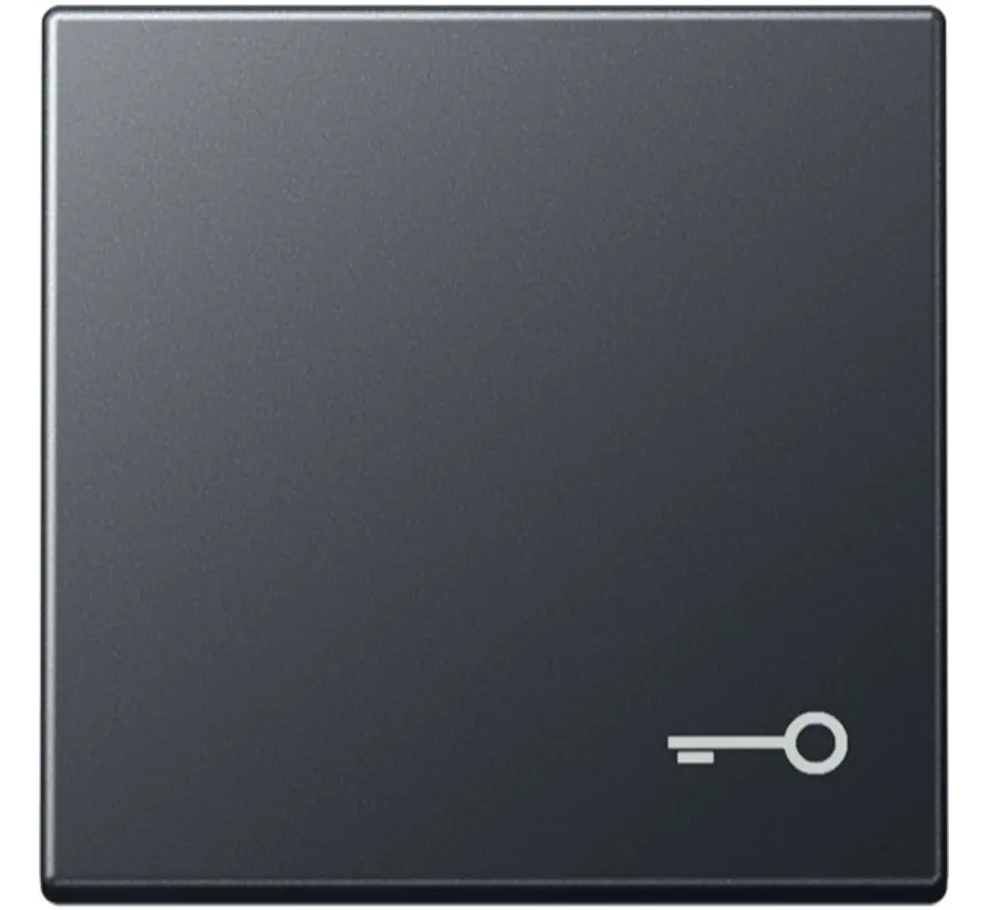 Wippe symbol Schlüssel A-range anthrazit (A 590 BF T ANM)