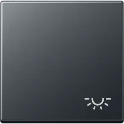 JUNG Wippe symbol Licht A-range anthrazit (A 590 BF L ANM)