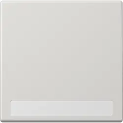 JUNG Wippe mit Beschriftungsfeld LS990 hellgrau (LS 990 NA LG)