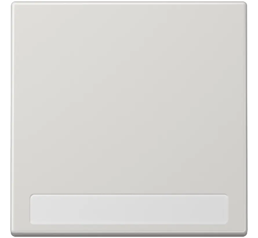 Wippe mit Beschriftungsfeld LS990 hellgrau (LS 990 NA LG)