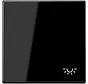 Wippe symbol Licht LS990 schwarz glänzend (LS 990 L SW)