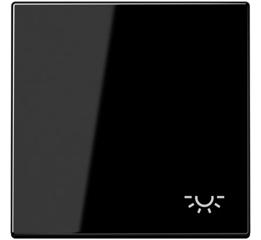 Wippe symbol Licht LS990 schwarz glänzend (LS 990 L SW)