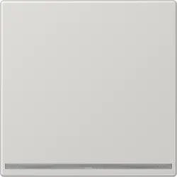 JUNG LED-Orientierungsleuchte LS990 hellgrau (LS 1539-OO LG LNW)