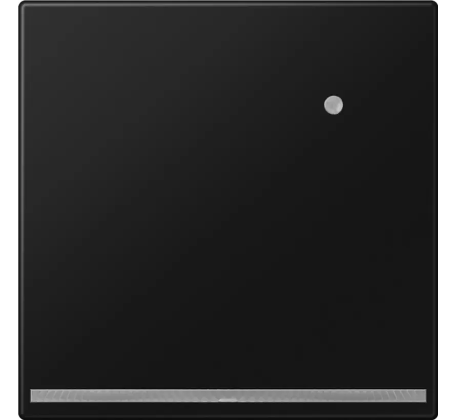 LED-Orientierungsleuchte mit Helligkeitssensor LS990 graphitschwarz matt (LS 1539-O SWM LNW)