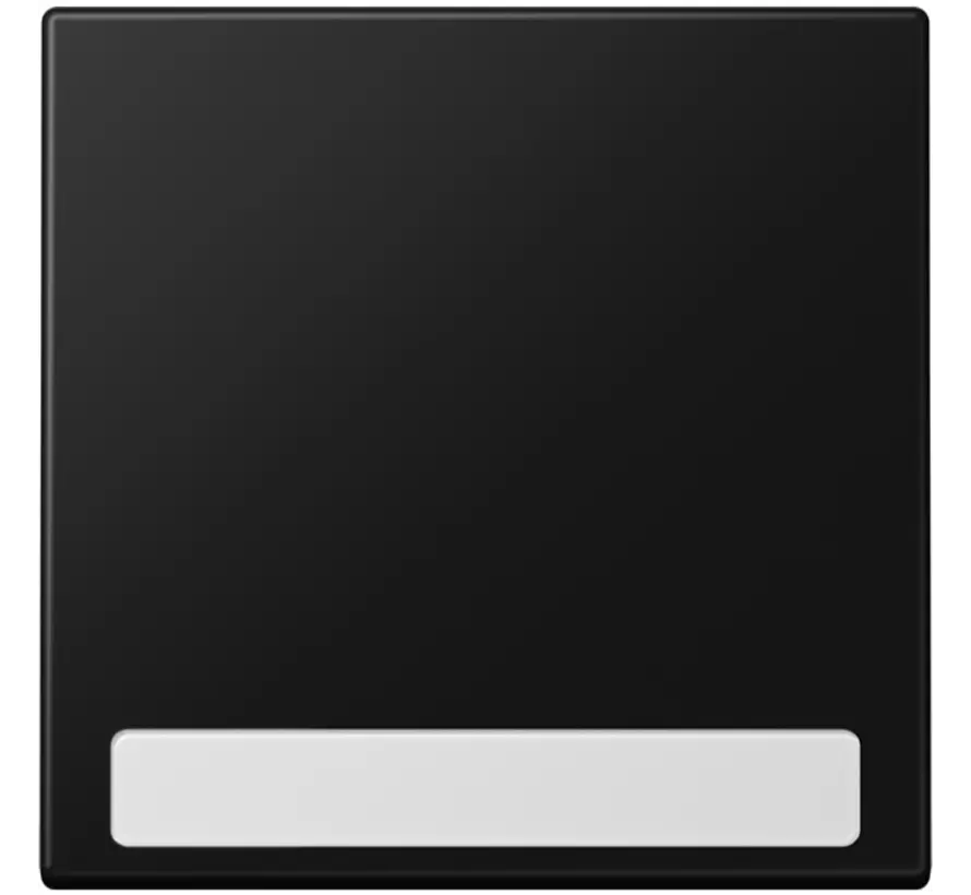 Wippe mit Beschriftungsfeld LS990 graphitschwarz matt (LS 990 NA SWM)