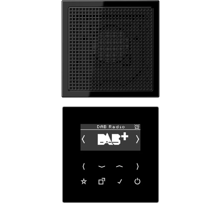 Smart Radio DAB+ Set mit einem Lautsprecher LS990 schwarz glänzend (DAB LS1 SW)